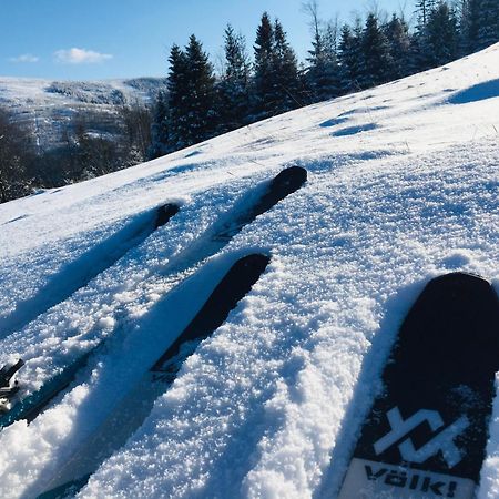Widokowy Apartament Jodlowa Ski&Bike ชเจอร์ค ภายนอก รูปภาพ