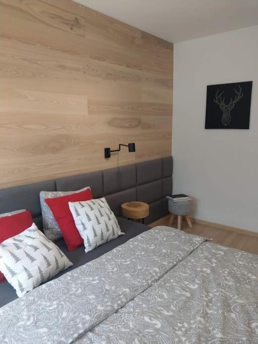 Widokowy Apartament Jodlowa Ski&Bike ชเจอร์ค ภายนอก รูปภาพ